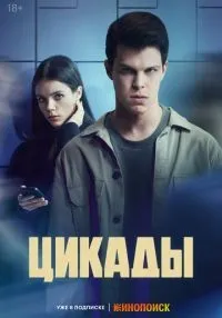 Цикады 1-8 серии  смотреть онлайн бесплатно